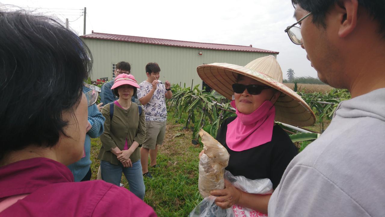 Dongshi  Sky Gift Traditional Farm B&B מראה חיצוני תמונה